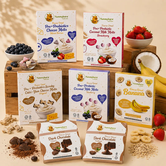 HLT One Yummybara Snack Discovery Pantry