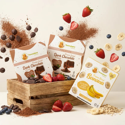 Yummybara Little Treats Kit