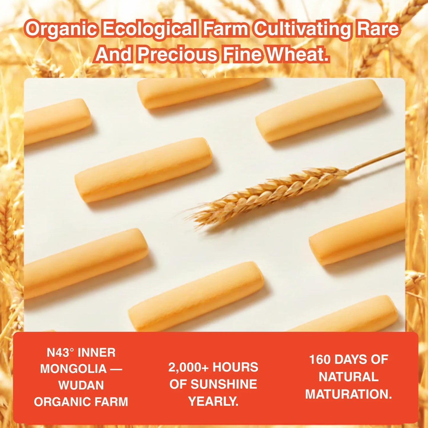 Qiu Tian Man Man Organic Baby Teething Sticks | Baby Snack 12+ Months | No Added Sugar | Gentle on Gums (64g)