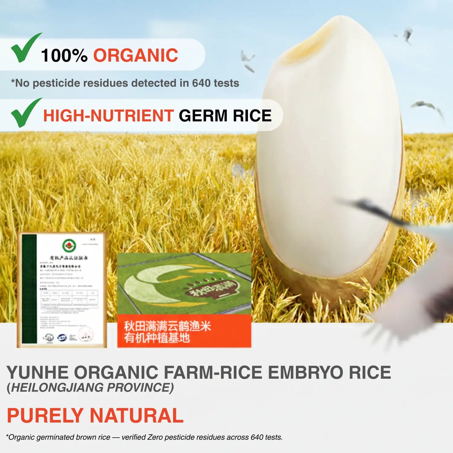 hltone.myshopify.com Qiu Tian Man Man Organic Germinated Rice Rusks | Teething Snack 6+ Months | No Added Salt | Baby Finger Food (32.8g) variation