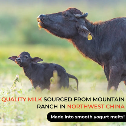 hltone.myshopify.com Qiu Tian Man Man Organic Probiotic Yogurt Melts for Babies | 7+ Months | Calcium Rich | Healthy Baby Snack (18g) variable