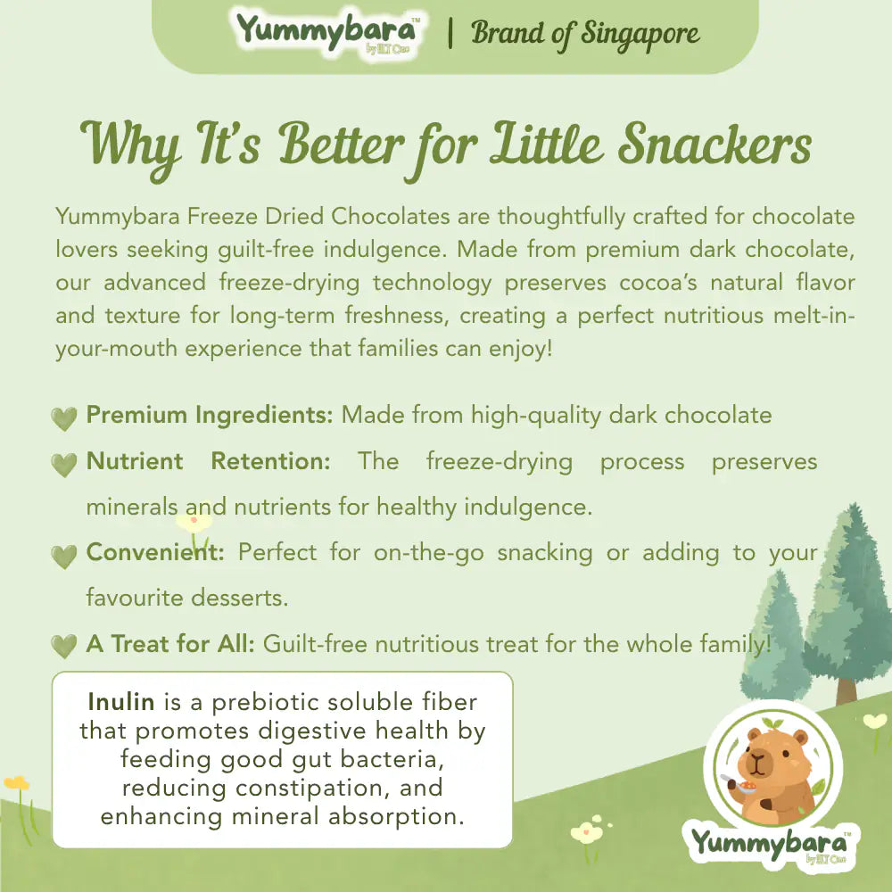 HLT One  Yummybara Freeze Dried Dark Chocolate (20g) 12 months+ 12m+, Baby Snacks, Halal 