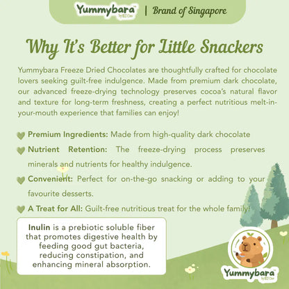 HLT One  Yummybara Freeze Dried Dark Chocolate (20g) 12 months+ 12m+, Baby Snacks, Halal 