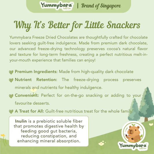 HLT One  Yummybara Freeze Dried Dark Chocolate (20g) 12 months+ 12m+, Baby Snacks, Halal 