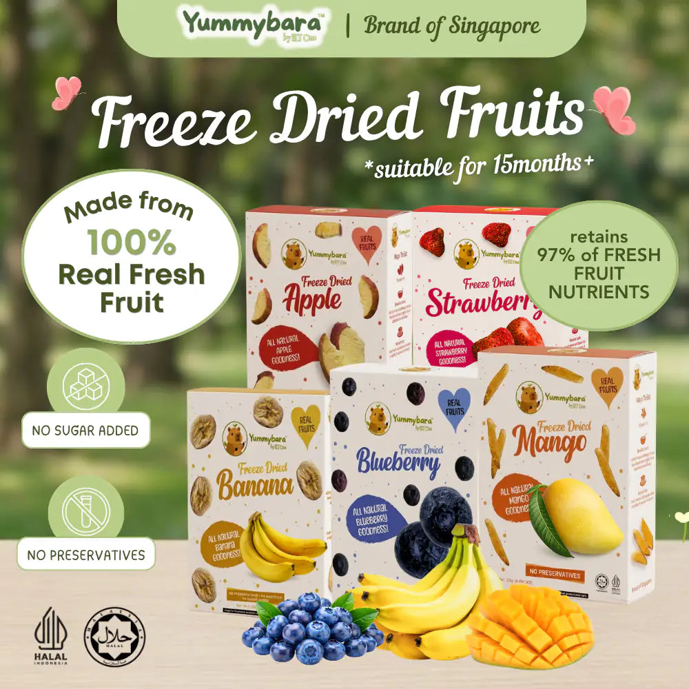 HLT One  Yummybara Freeze Dried Fruits (20g) 8 months+ 7m+, Baby Snacks, Fruit Snacks, Halal 