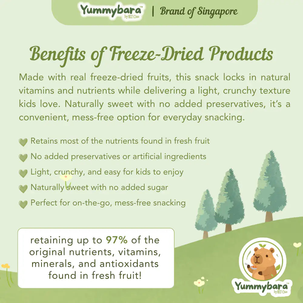 HLT One  Yummybara Freeze Dried Fruits (20g) 8 months+ 7m+, Baby Snacks, Fruit Snacks, Halal 
