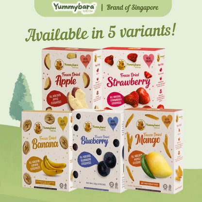 HLT One  Yummybara Freeze Dried Fruits (20g) 8 months+ 7m+, Baby Snacks, Fruit Snacks, Halal 