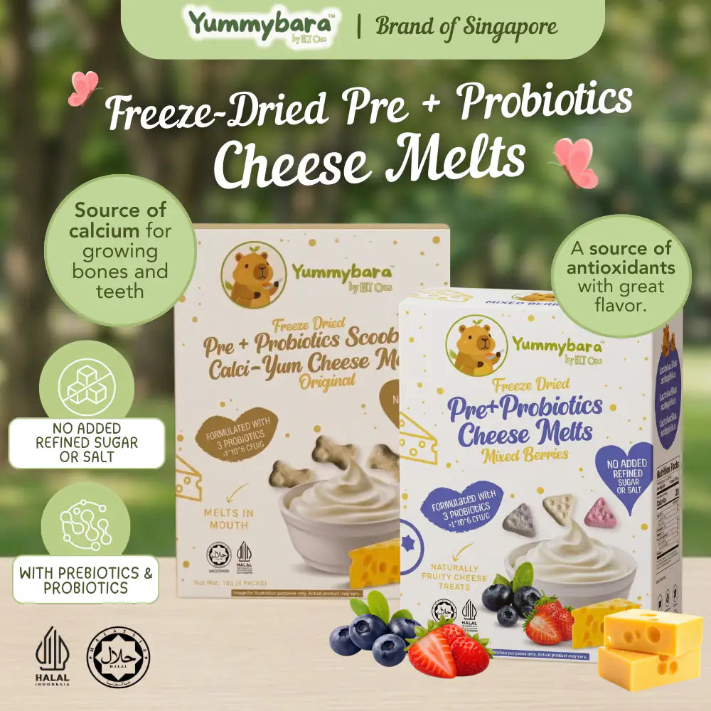 HLT One  Yummybara Freeze Dried Pre + Probiotics Cheese Melts (18g) 8 months+ 7m+, Baby Snacks, Halal, Melts 