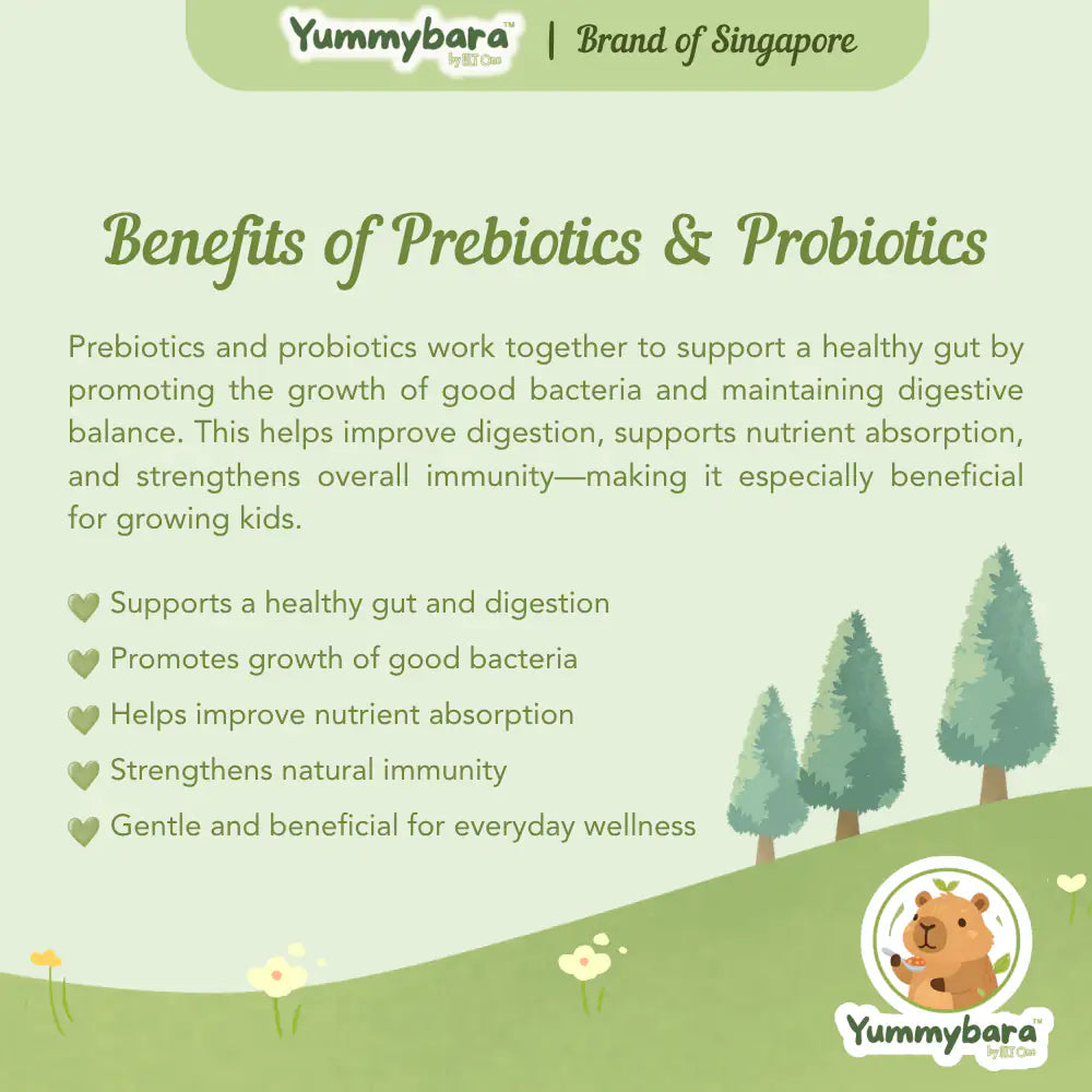 HLT One  Yummybara Freeze Dried Pre + Probiotics Cheese Melts (18g) 8 months+ 7m+, Baby Snacks, Halal, Melts 
