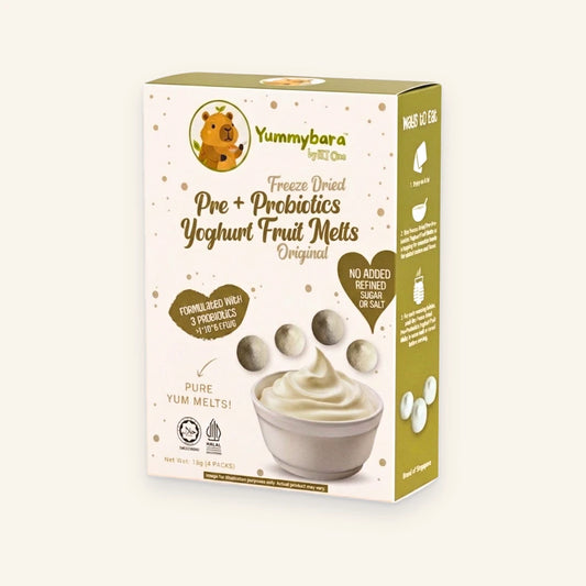 Freeze Dried Pre + Probiotics Yoghurt Fruit Melts (20g) 8 months+