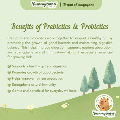 HLT One  Yummybara Freeze Dried Pre + Probiotics Yoghurt Fruit Melts (20g) 8 months+ 7m+, Baby Snacks, Halal, Melts 