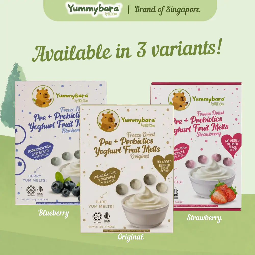 HLT One  Yummybara Freeze Dried Pre + Probiotics Yoghurt Fruit Melts (20g) 8 months+ 7m+, Baby Snacks, Halal, Melts 