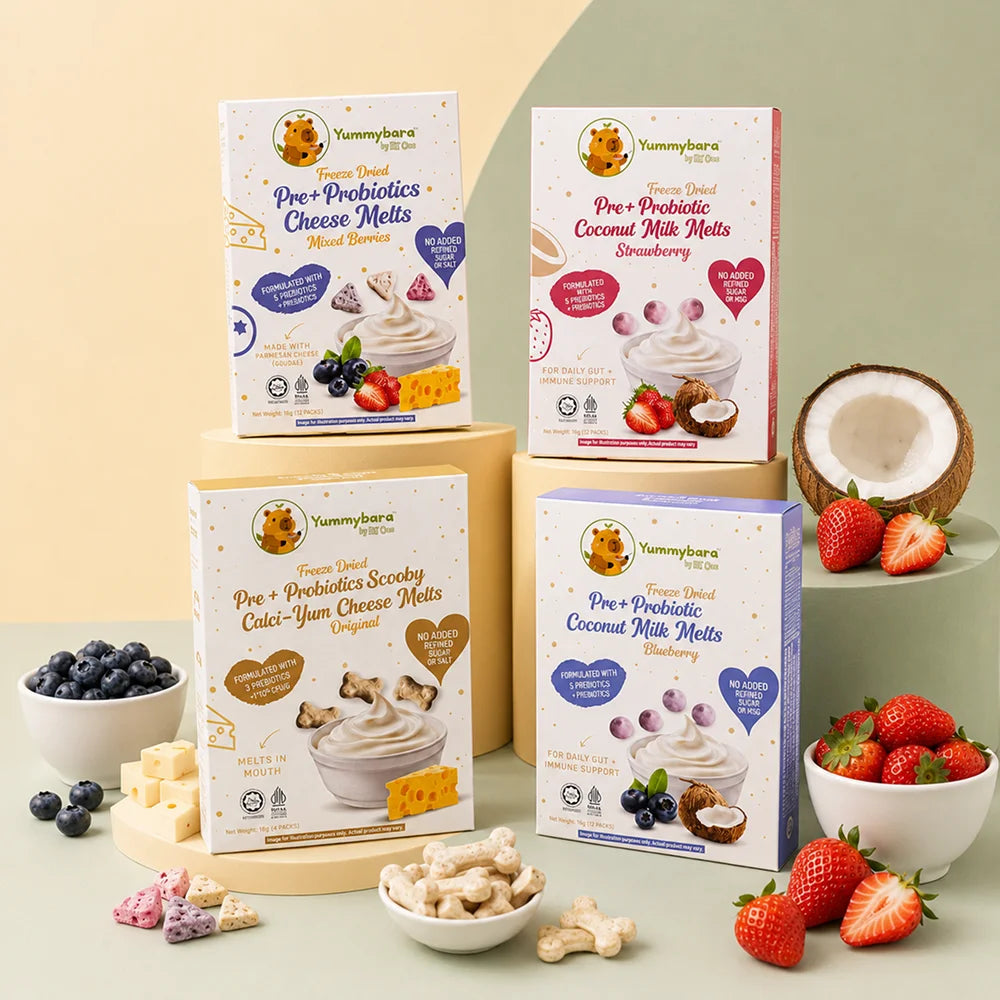 HLT One  Yummybara Gentle Tummy Kit