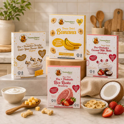 HLT One  Yummybara On-The-Go Snack Kit