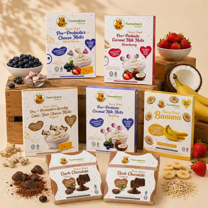 HLT One  Yummybara Snack Discovery Pantry