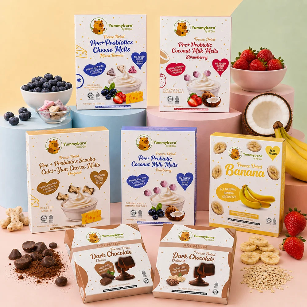 HLT One  Yummybara Snack Discovery Pantry