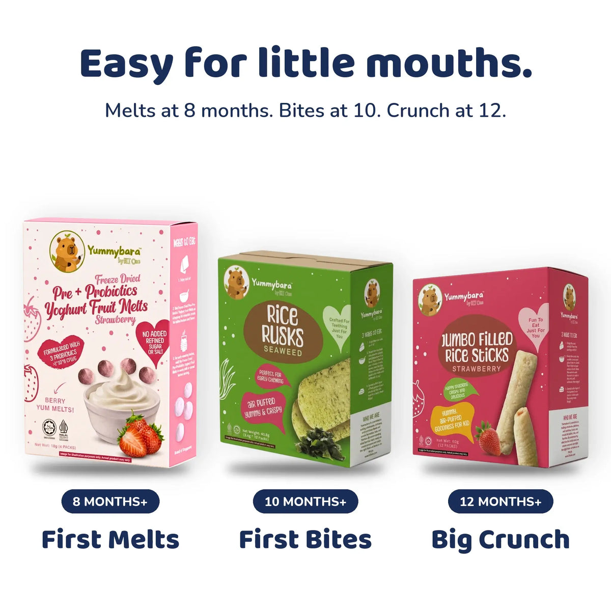 Age Group Bundle